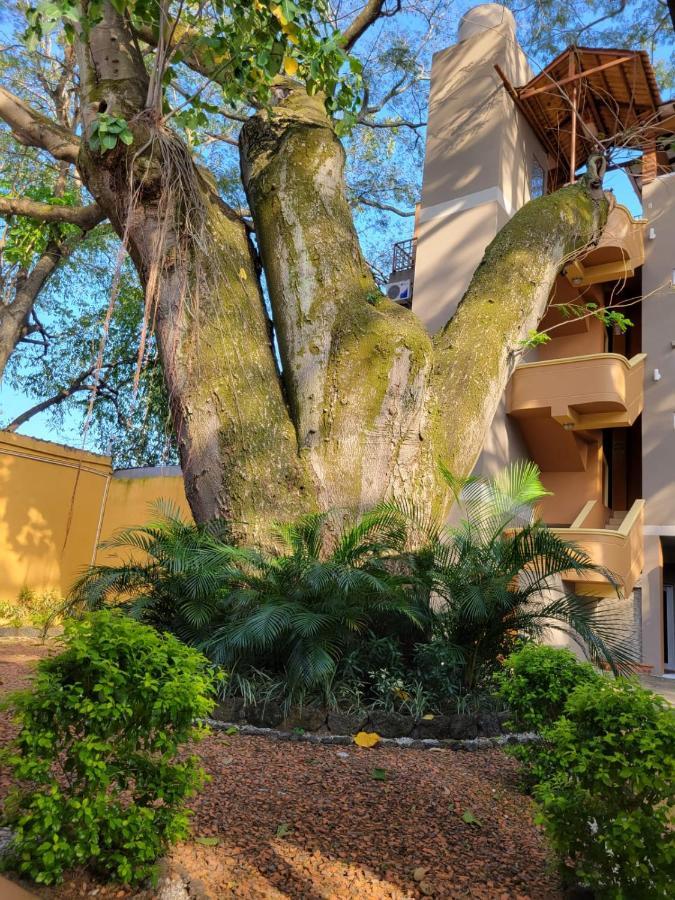 Real Guanacaste Aparthotel San Pedro Sula Buitenkant foto